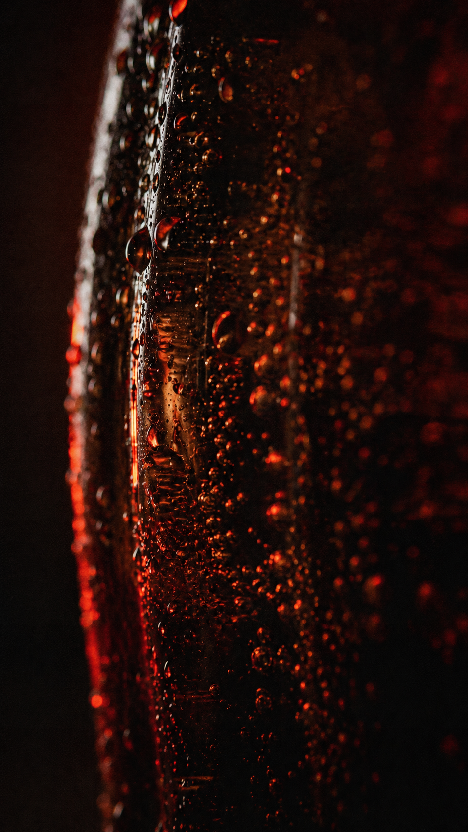 Tight macro of the bottle's shoulder — beaded condensation catching red light